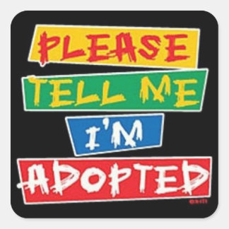 Please tell me im adopted square sticker