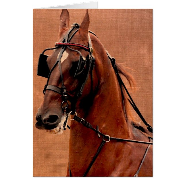 Pleasure Harness Saddlebred Digital Art (Front)