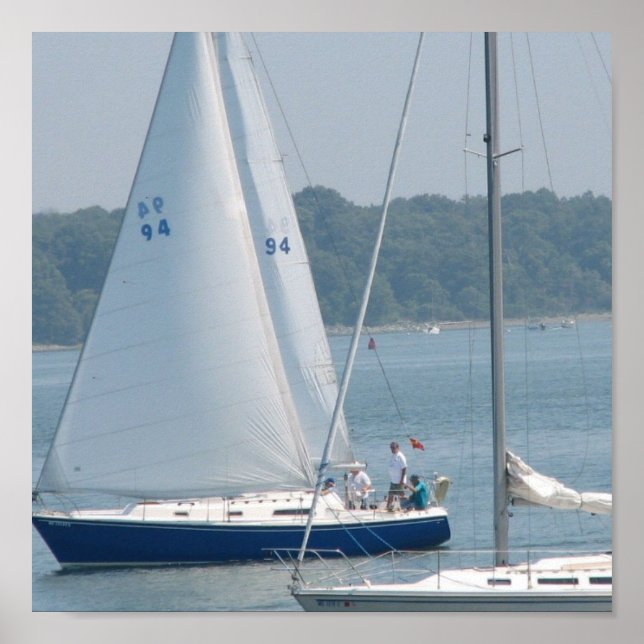 Pleasure Sail Poster (Front)