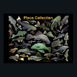 Plecoの仲間のポスター,No.01 Poster<br><div class="desc">私はPlecoの仲間の愛好家のためにこの作品を作りました。 ( Photo by KOBAYASHI, Michinobu )</div>