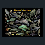 Plecoの仲間のポスター,No.01 Poster<br><div class="desc">私はPlecoの仲間の愛好家のためにこの作品を作りました。 ( Photo by KOBAYASHI, Michinobu )</div>