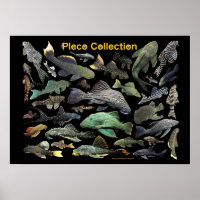 Plecoの仲間のポスター,No.01