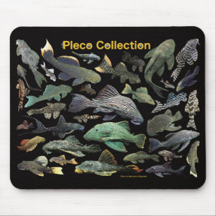 Pleco collection mouse mat