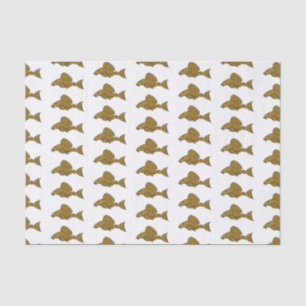Pleco fish cartoon illustration tissue paper