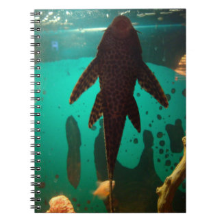 Pleco Notebook