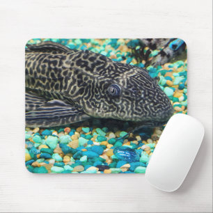 Plecostomus On Gravel Mouse Mat