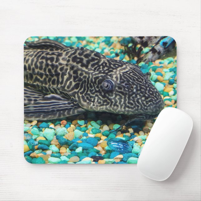 Plecostomus On Gravel Mouse Mat (With Mouse)