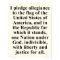 Pledge of Allegiance