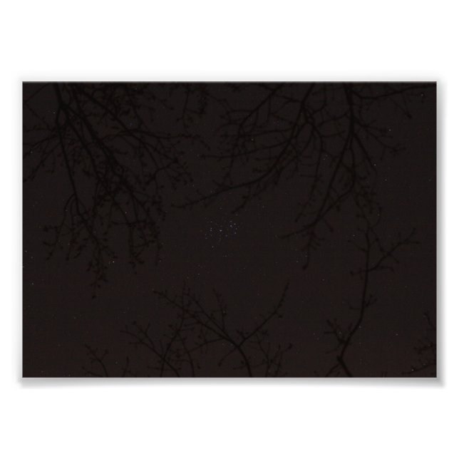 Pleiades (M45) Photo Print (Front)