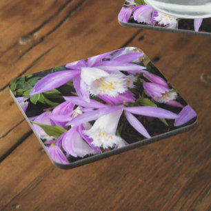 Pleione Windowsill Orchids Floral Coaster