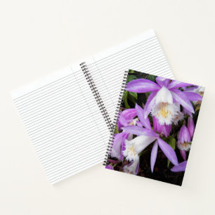 Pleione Windowsill Orchids Floral Notebook