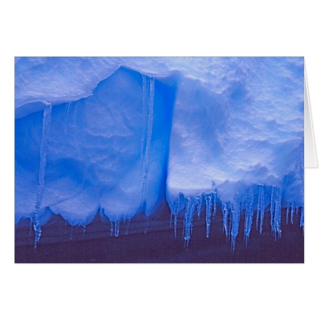 Pleneau Iceberg Graveyard, Antarctica: Blue (Front Horizontal)