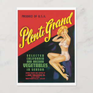 Plenti Grand Watsonville California Arizona Pinup Postcard