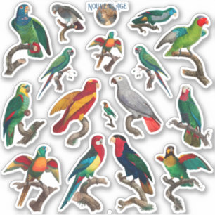 Plenty of Parrots Colourful Birds Sticker Sheet