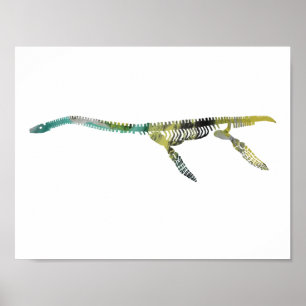 plesiosaur skeleton poster