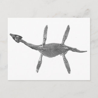 Plesiosaurus Skeleton Antique Print Postcard