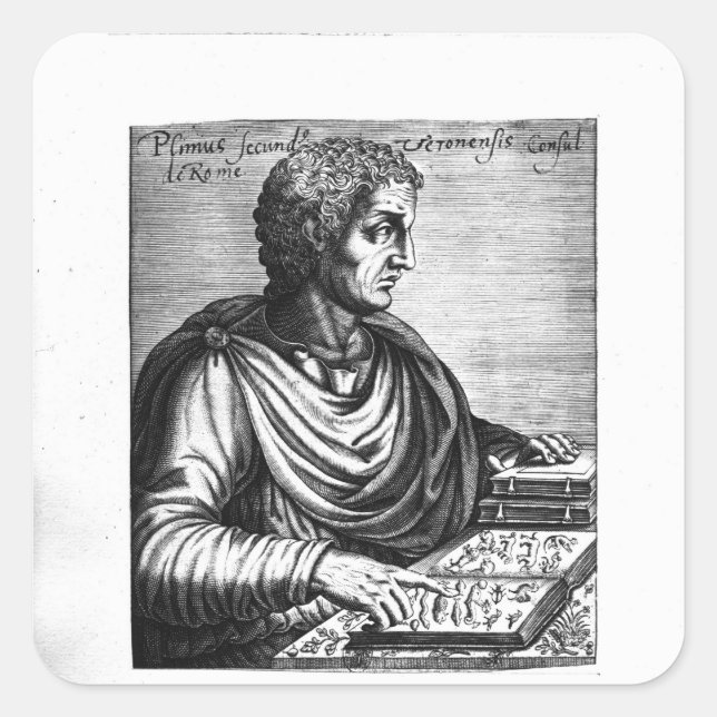 Pliny the Elder Square Sticker (Front)