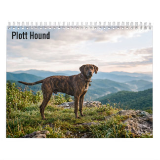 Plott Hound 2027 Wall calendar