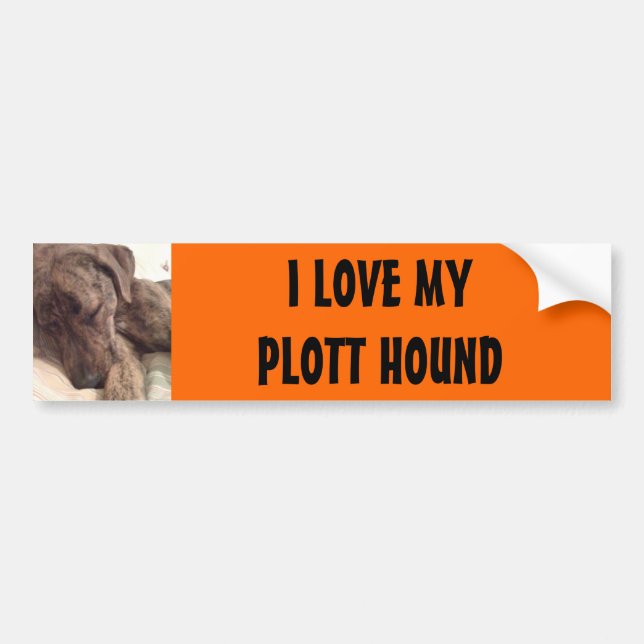 Plott Hound Bumper Sticker (Front)
