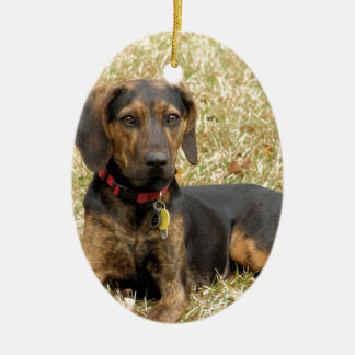 Plott Hound Ceramic Tree Decoration