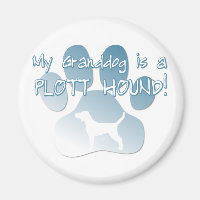 Plott Hound Granddog