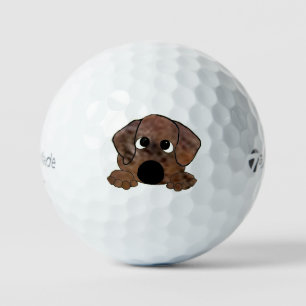plott hound orange brindle peeking golf balls