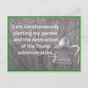 Plotting A Garden against Trump Postcard