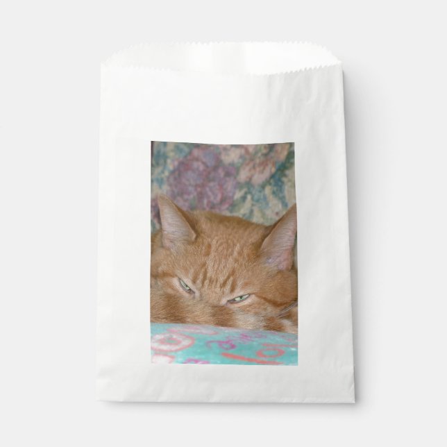 Plotting Favour Bags (Front)