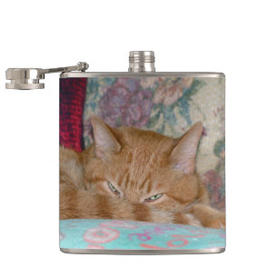 Plotting Hip Flask
