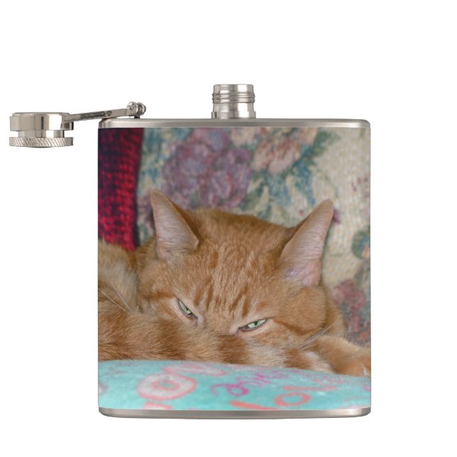 Plotting Hip Flask (Opened)