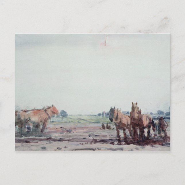 Plough Horses Postcard (Front)