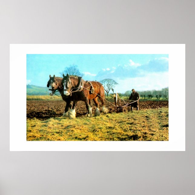 Ploughing Poster (Front)