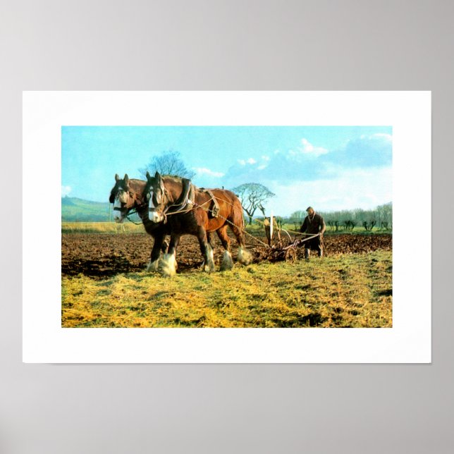 Ploughing Poster (Front)