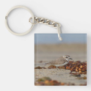 Plover and Seaweed Key Ring