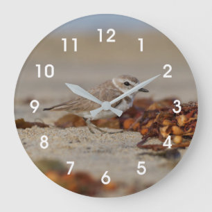 Plover and Seaweed Large Clock