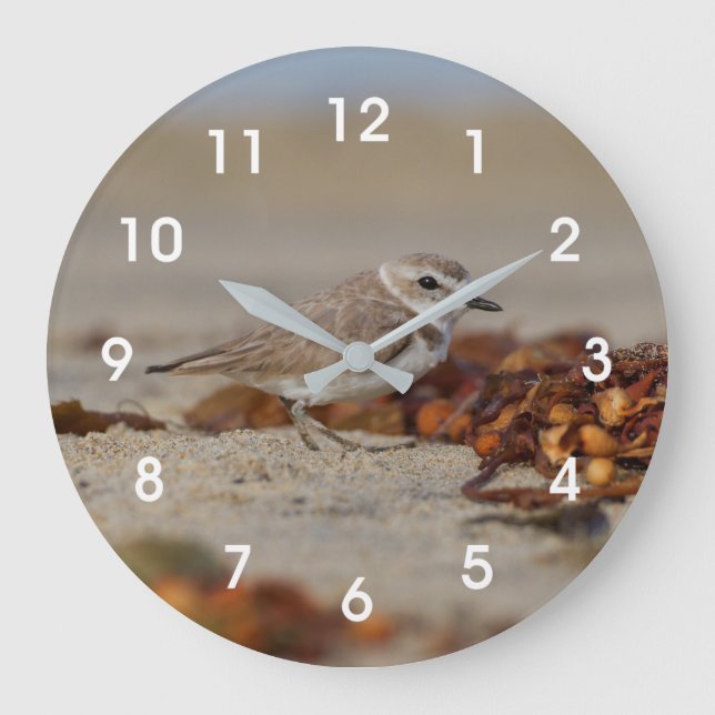 Plover and Seaweed Large Clock (Front)