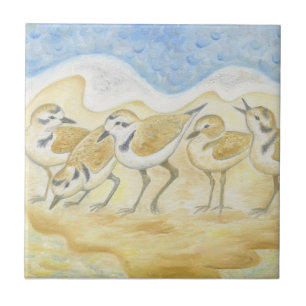 Plover Birds tile