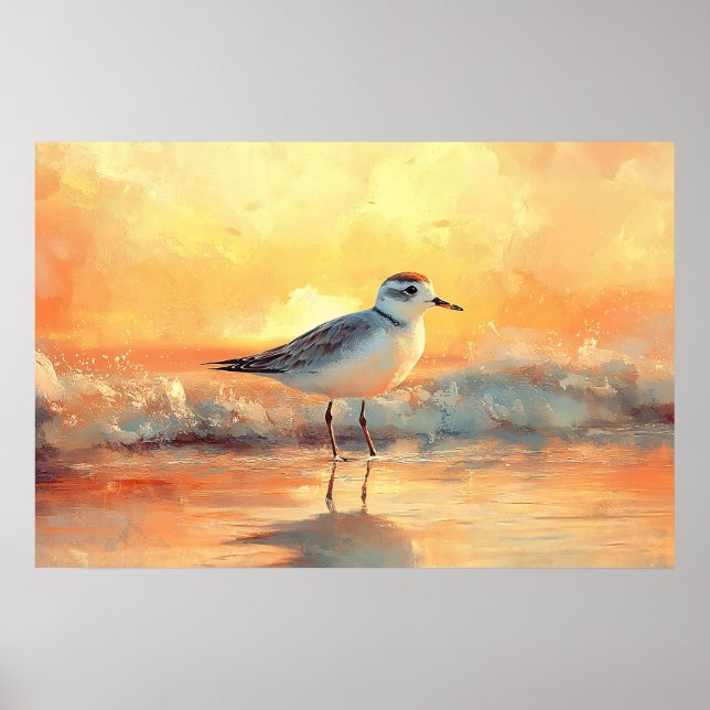 Plover Standing in Ocean Waves During Sunset Poster (Front)