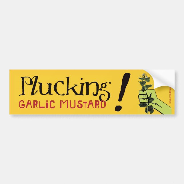 Plucking Garlic Mustard! Bumper Sticker (Front)