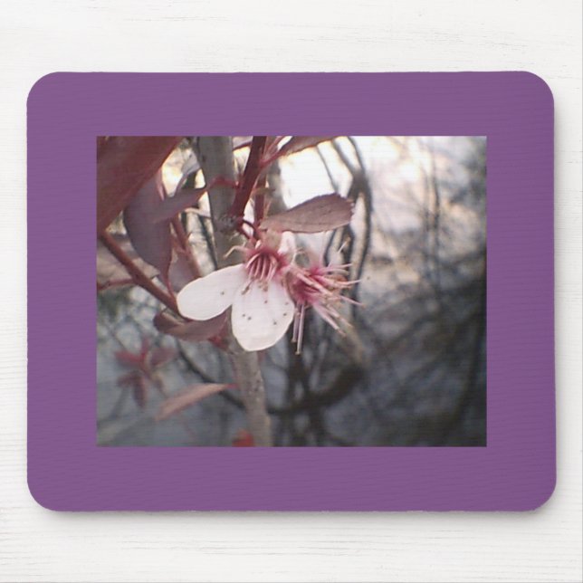 Plum Bloom Mouse Mat (Front)
