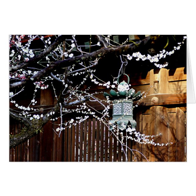 Plum Blossom and Metal Lantern (Front Horizontal)