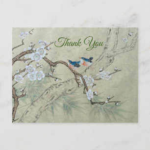 Plum Blossom in Spring Postcard