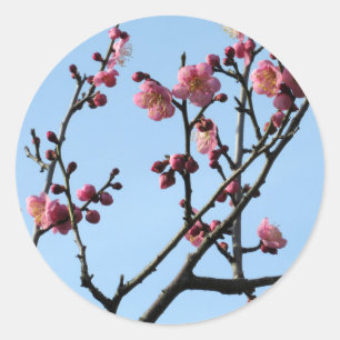 Plum Blossom: Japan Classic Round Sticker