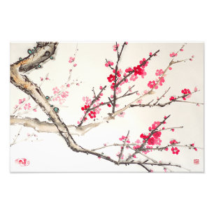 Plum Blossom Photo Print