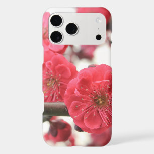 plum blossom spring pink flowers iPhone case