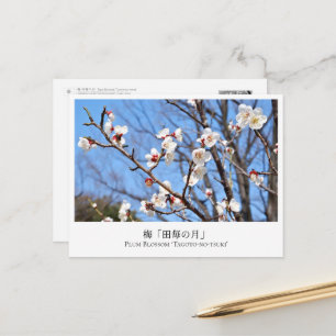 Plum Blossom ‘Tagoto-no-tsuki’ Postcard