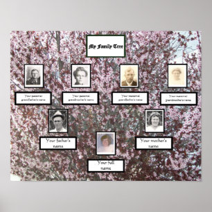 Plum Blossom Three-Generation Photo Family Tree Poster