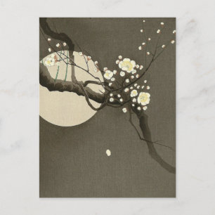 Plum Blossoms at Night by Ohara Koson Vintage Postcard