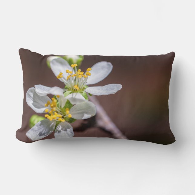 Plum Blossoms Lumbar Cushion (Front)