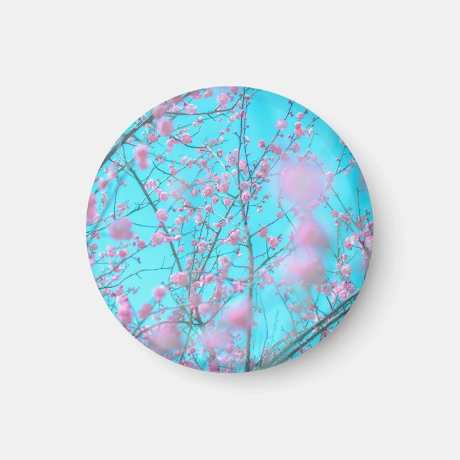 Plum Blossoms (Suzhou, China) Magnet (Front)